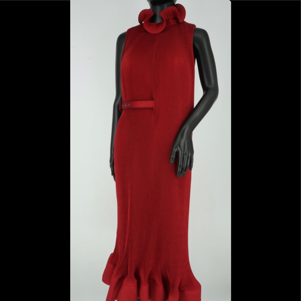 Pleated red dress by Tibi 😍 - Picture 10 of 10